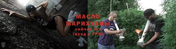 индика Вяземский