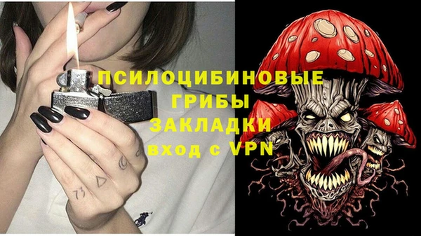 бутират Горнозаводск