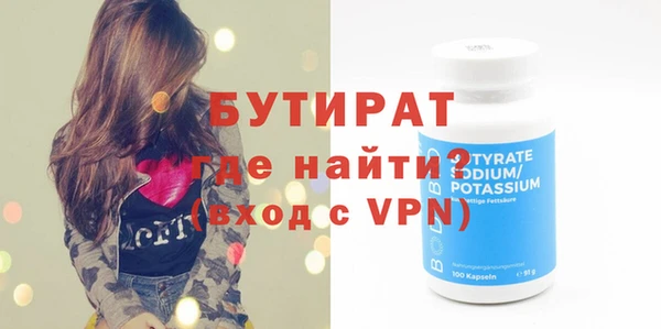 индика Вяземский