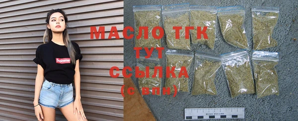 индика Вяземский