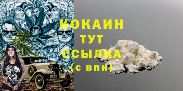 индика Вяземский