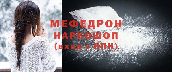 индика Вяземский