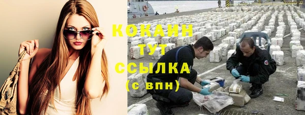 индика Вяземский