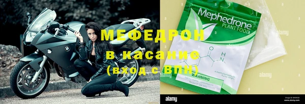 индика Вяземский