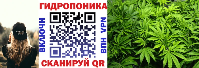 МЕГА онион  где продают наркотики  Зеленогорск  Шишки марихуана сатива 